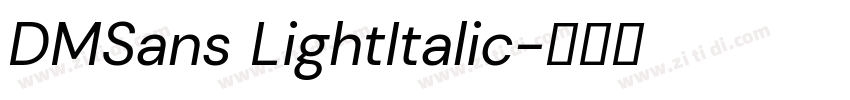 DMSans LightItalic字体转换